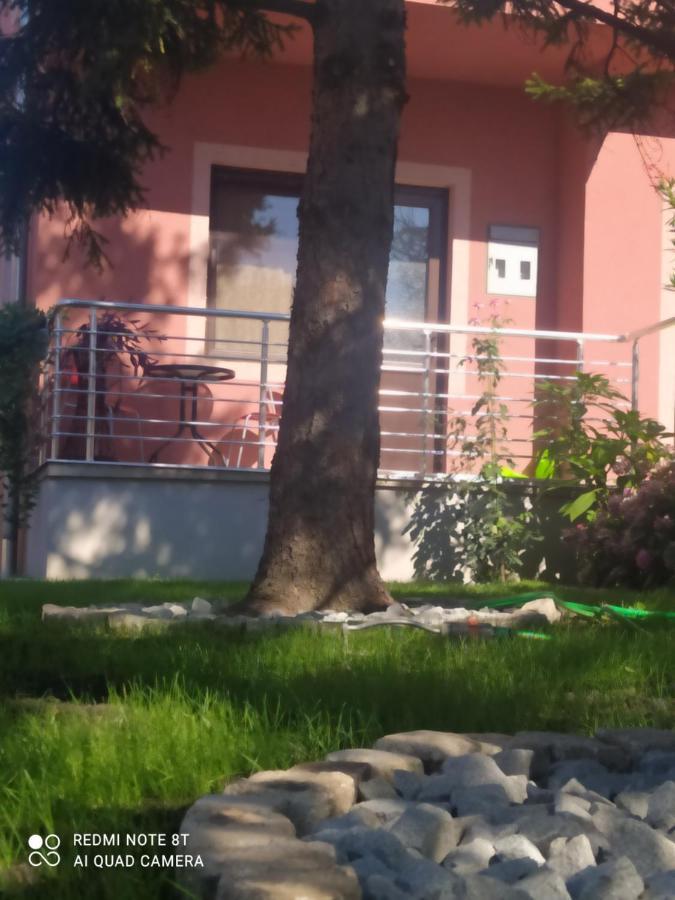 Studio 2 Golubac Exterior foto